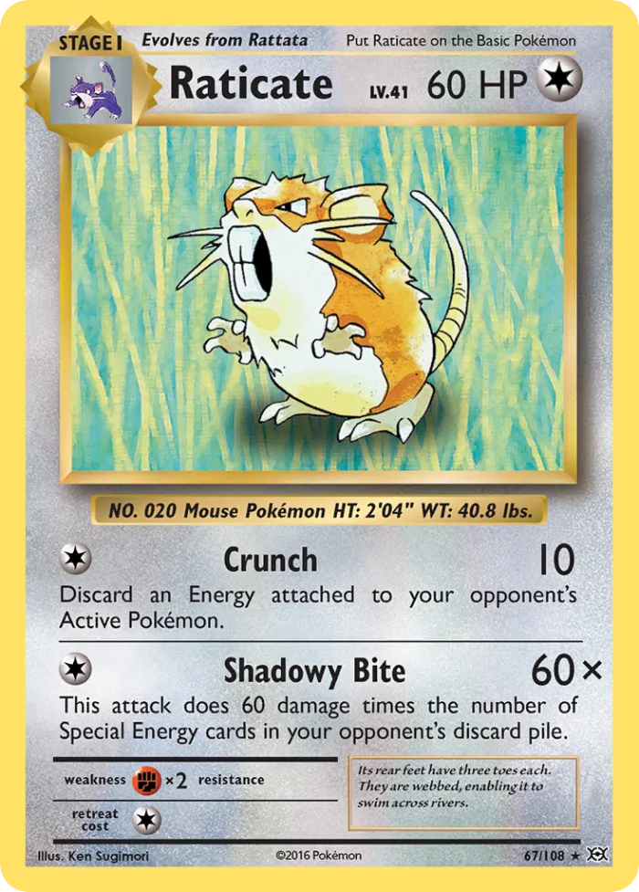 Raticate #67 Evolutions Pokemon card