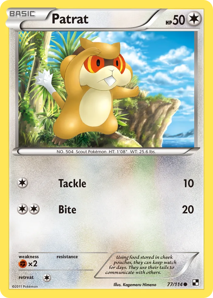 Patrat #77 Black & White Pokemon card
