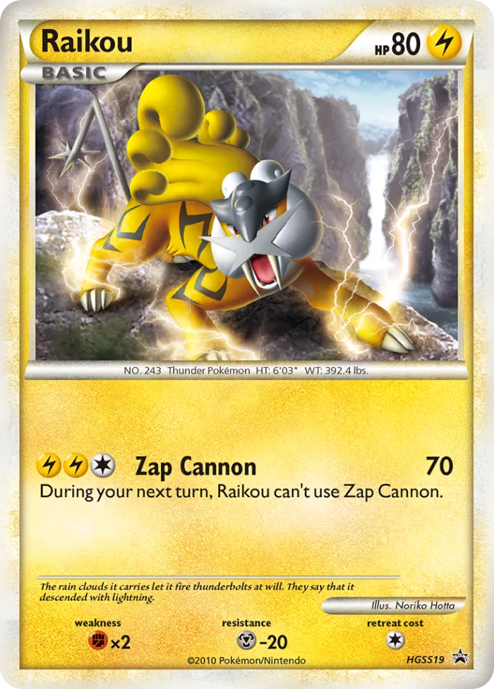 Raikou #HGSS19 HGSS Black Star Promos Pokemon card
