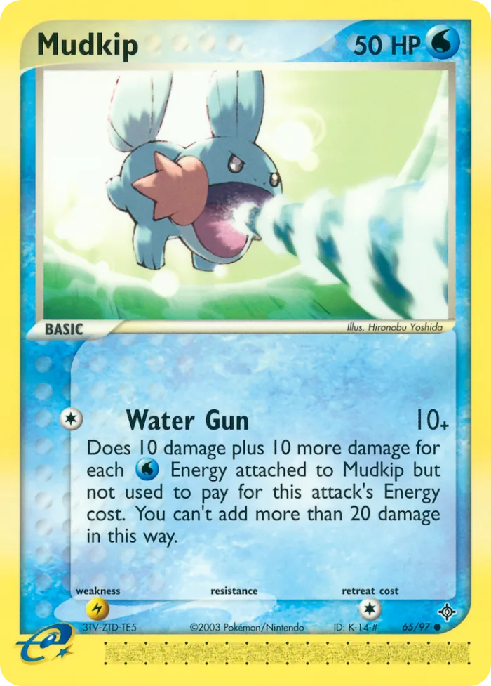 Mudkip EX Dragon card