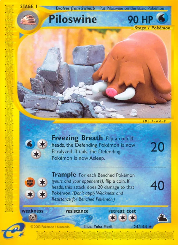 Piloswine #24 Skyridge Pokemon card