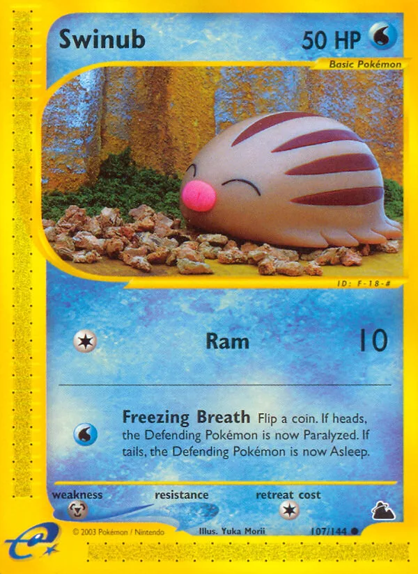 Swinub #107 Skyridge Pokemon card