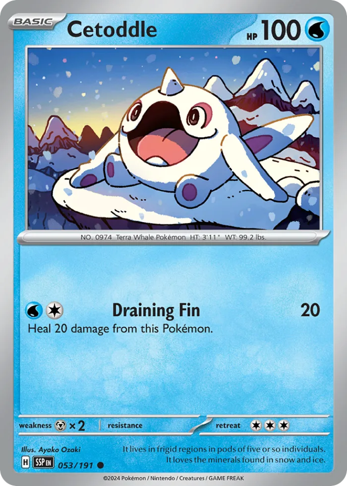 Cetoddle #53 Surging Sparks Pokemon card