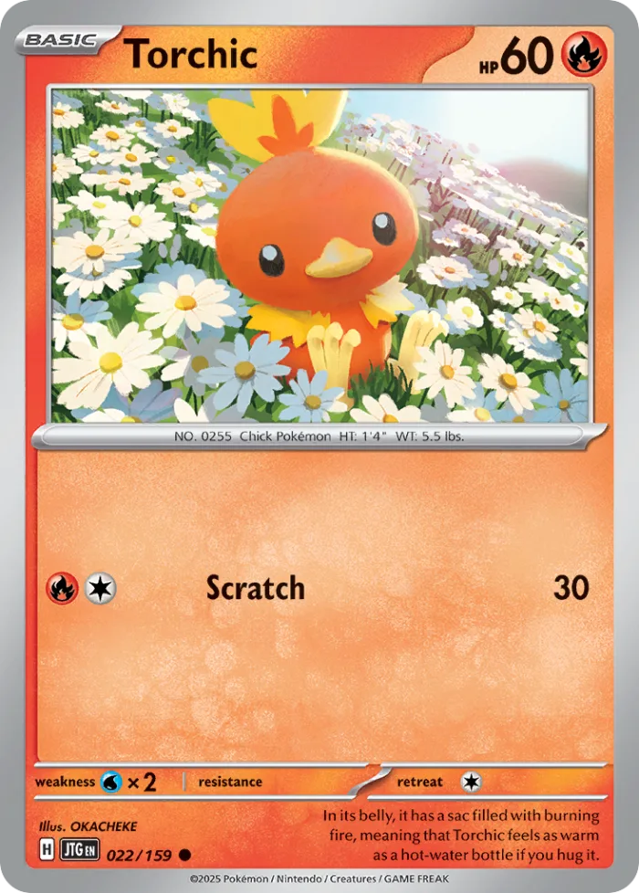 Torchic #22 Journey Together Pokemon card