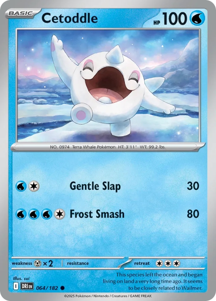 Cetoddle #64 Destined Rivals Pokemon card
