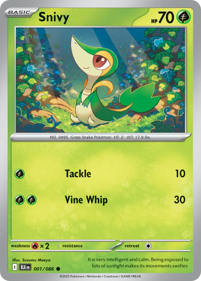 Snivy #1 Black Bolt Pokemon card