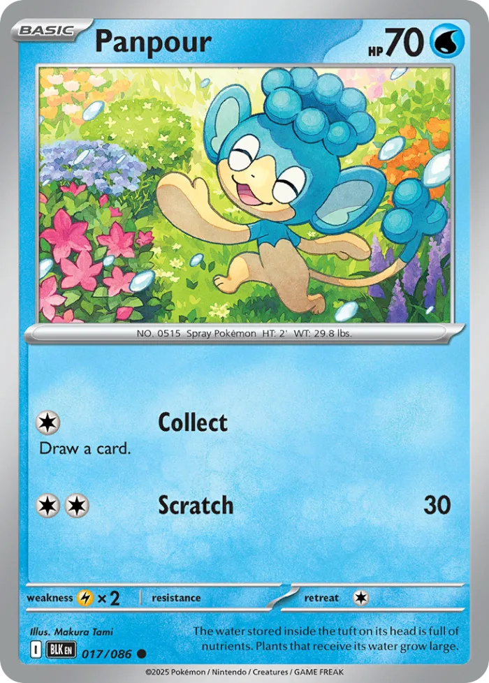 Panpour #17 Black Bolt Pokemon card