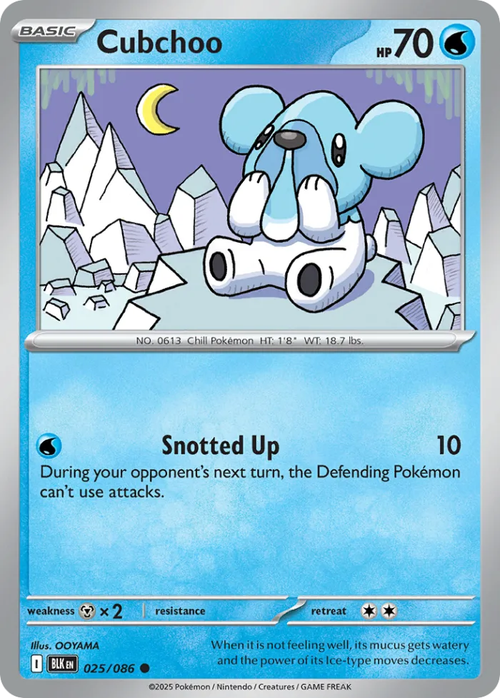 Cubchoo #25 Black Bolt Pokemon card