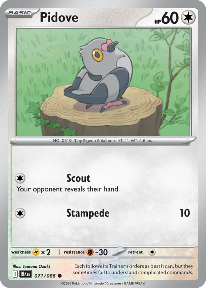 Pidove #71 Black Bolt Pokemon card