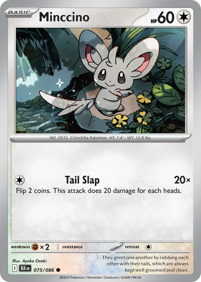 Minccino #75 Black Bolt Pokemon card