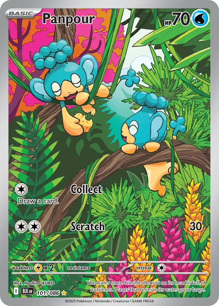 Panpour #101 Black Bolt Pokemon card