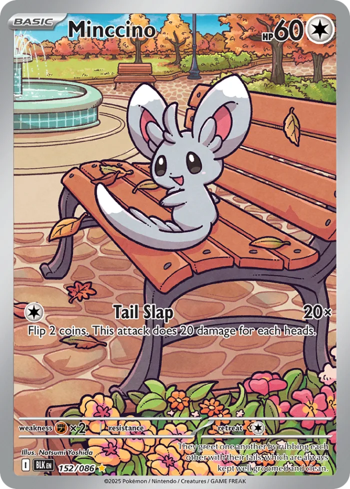 Minccino #152 Black Bolt Pokemon card