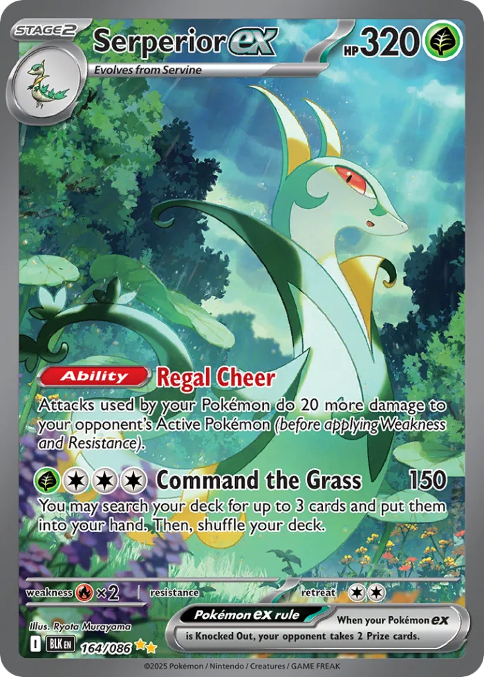 Serperior ex #164 Black Bolt Pokemon card