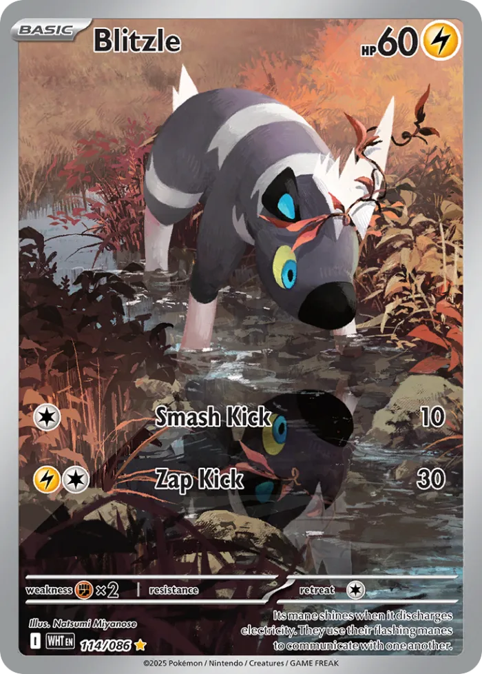 Blitzle #114 White Flare Pokemon card