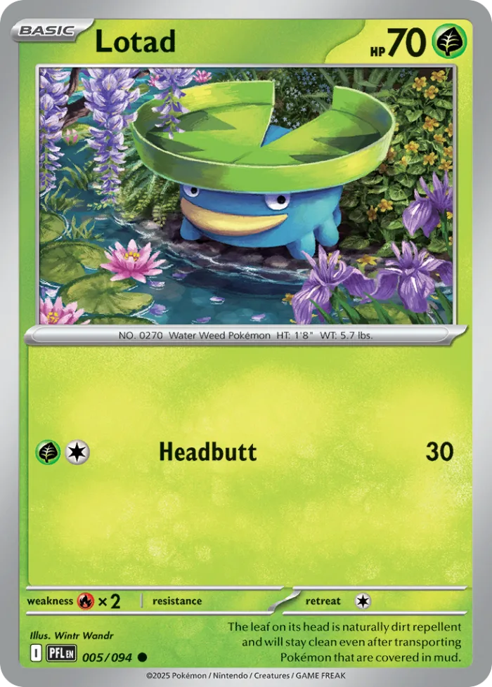 Lotad #5 Phantasmal Flames Pokemon card