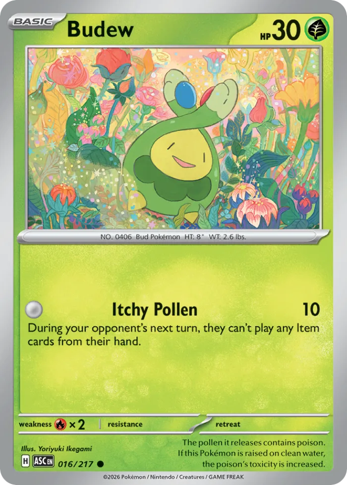Budew #16 Ascended Heroes Pokemon card