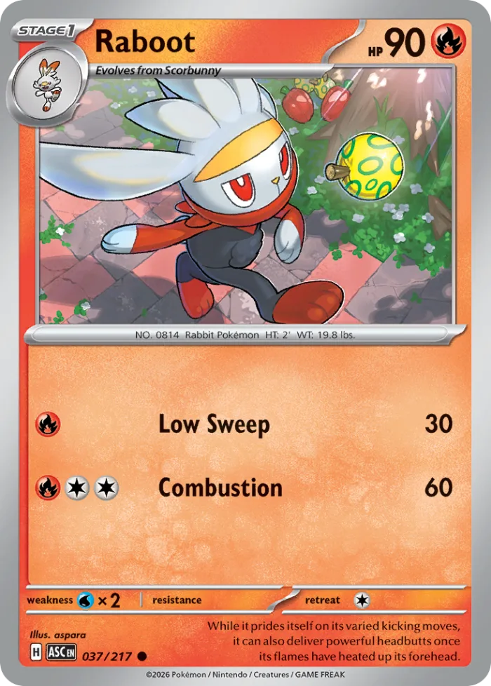 Raboot #37 Ascended Heroes Pokemon card