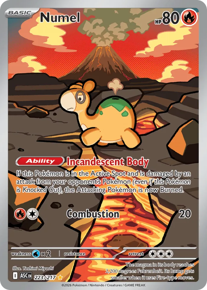 Numel #223 Ascended Heroes Pokemon card