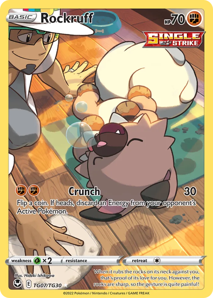 Rockruff #TG07 Silver Tempest Pokemon card