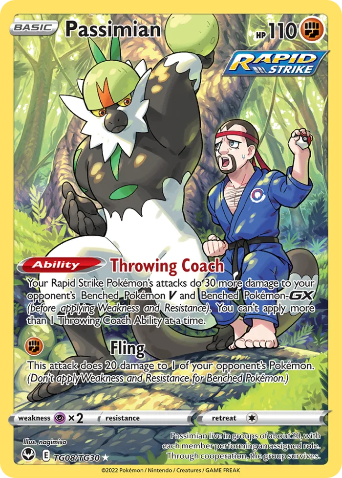 Passimian #TG08 Silver Tempest Pokemon card