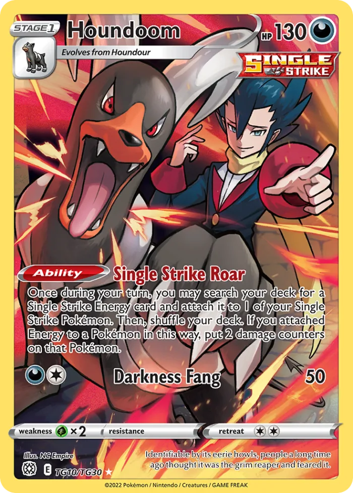 Houndoom #TG10 Brilliant Stars Pokemon card