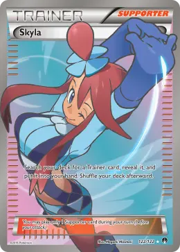 Skyla card