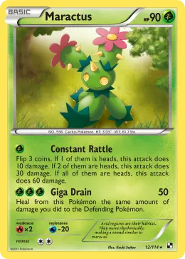 Maractus card