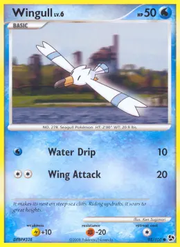Wingull card