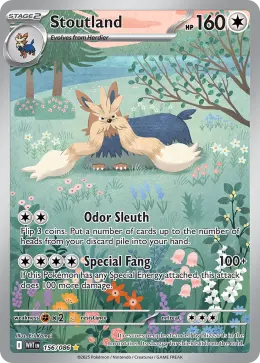 Stoutland card