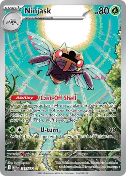 Ninjask card