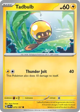 Tadbulb card