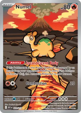 Numel card