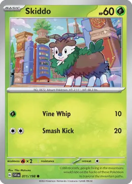 Skiddo card