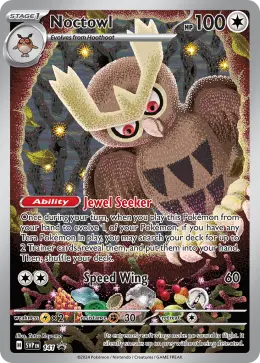 Noctowl card