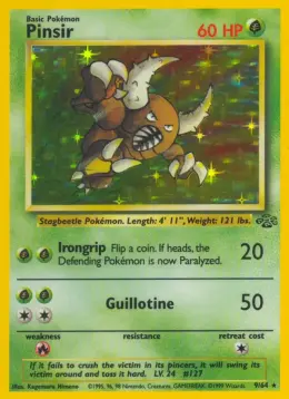 Pinsir card
