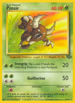 Pinsir card