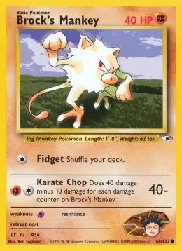 Brock's Mankey card