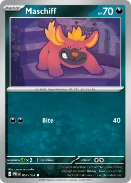 Maschiff card