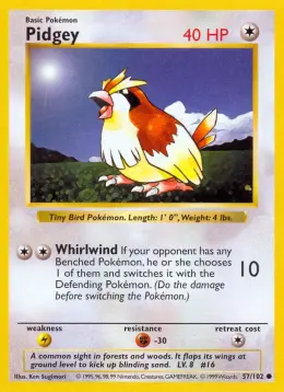 Pidgey card