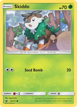 Skiddo card